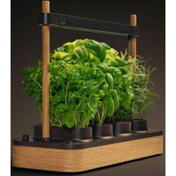 Potager hydroponique intérieur