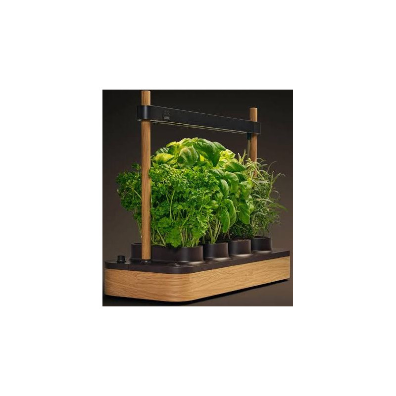 Potager hydroponique intérieur