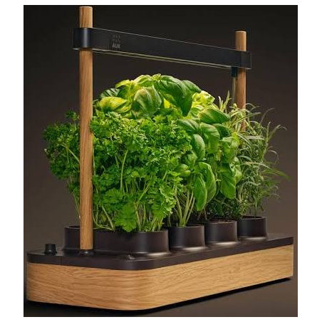 Potager hydroponique intérieur