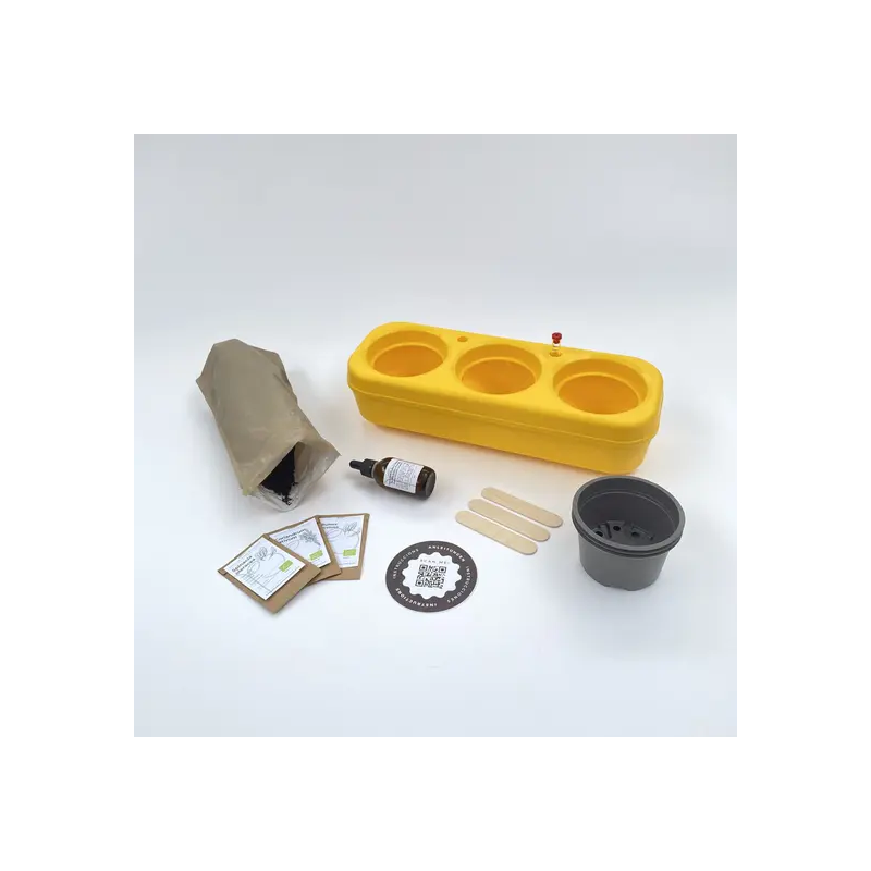 Kit démarrage basilic urbain